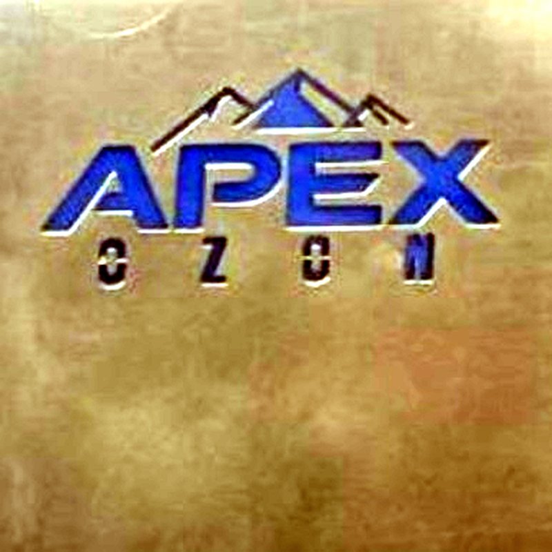 Гравировка APEX OZON на корпусе озонатора из нержавеющей стали